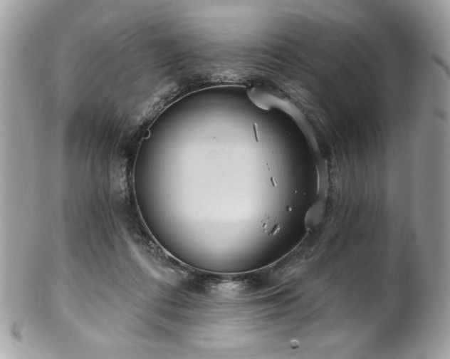 X0000102310312200807251446