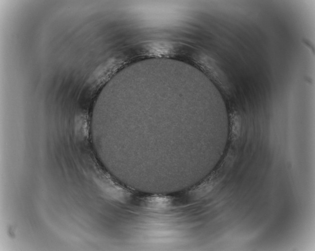 X0000102310313200807251446