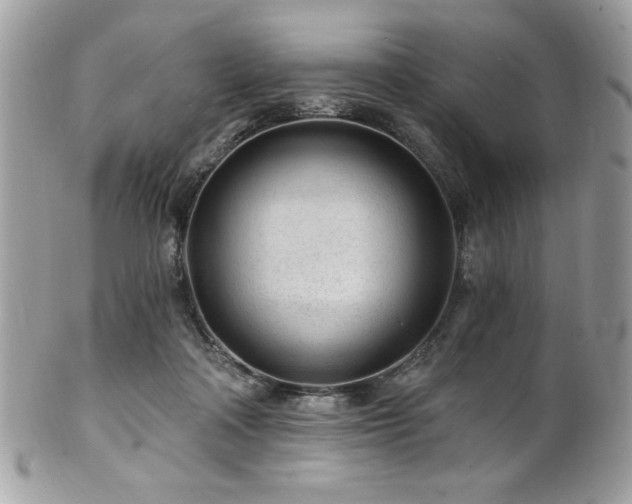 X0000102310314200807251446