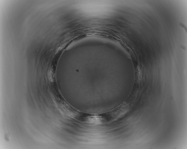 X0000102310316200807251446