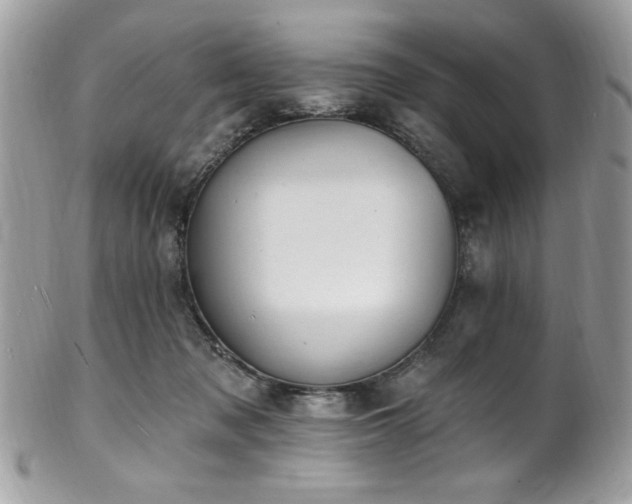 X0000102310317200807251446