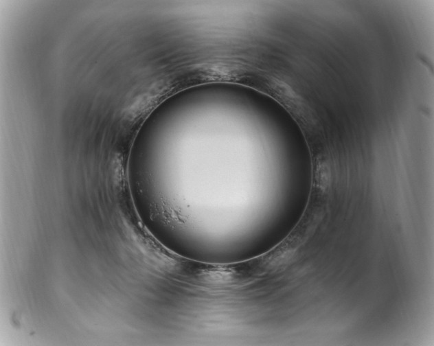 X0000102310318200807251446