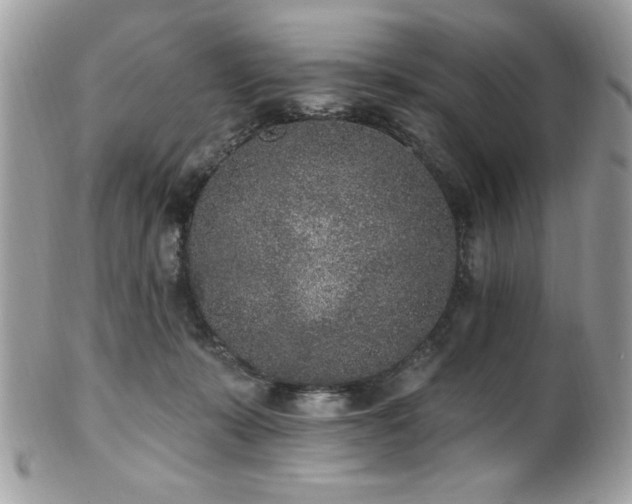 X0000102310319200807251446