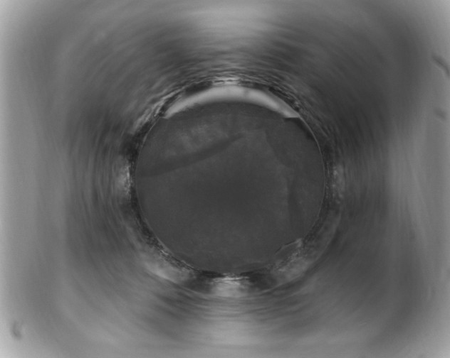 X0000102310320200807251446