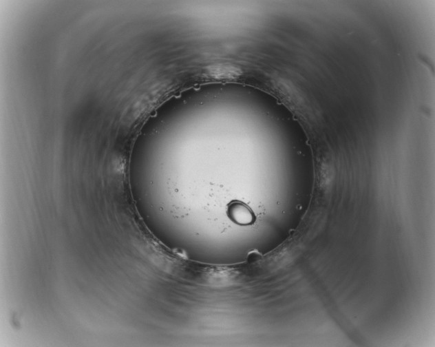 X0000102310321200807251446