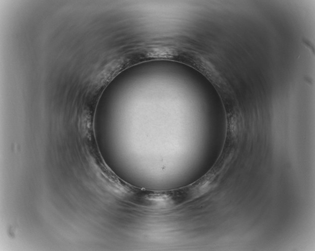 X0000102310322200807251446