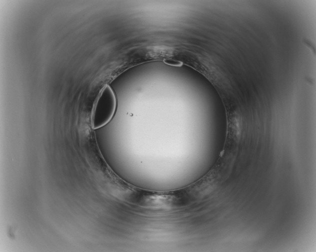 X0000102310323200807251446