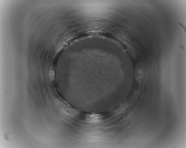 X0000102310324200807251446