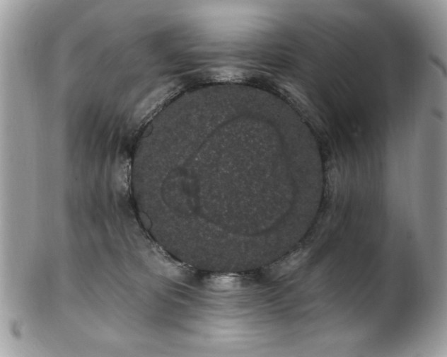 X0000102310325200807251446