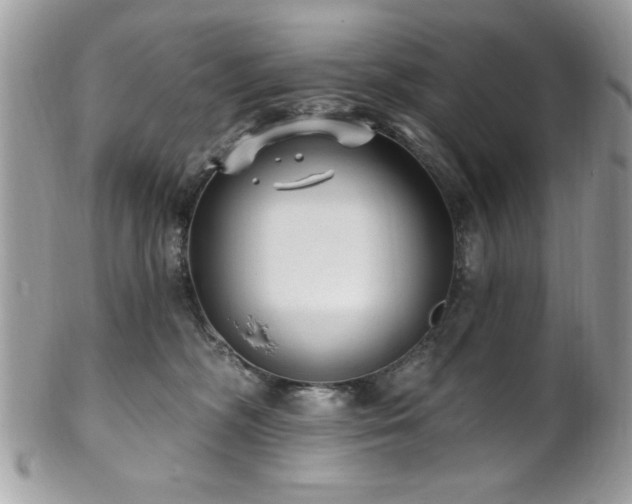 X0000102310326200807251446