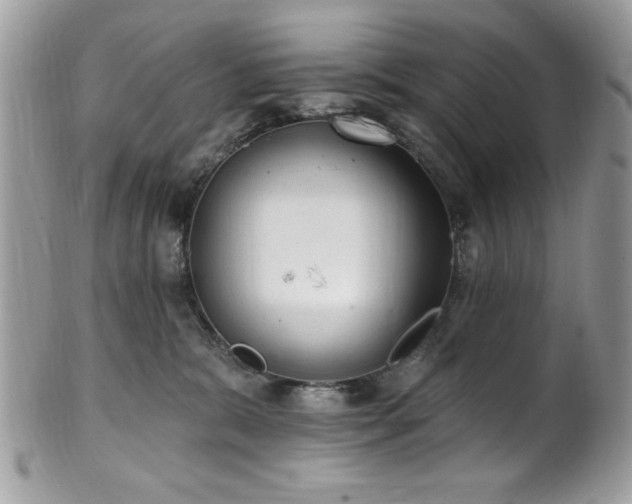 X0000102310327200807251446