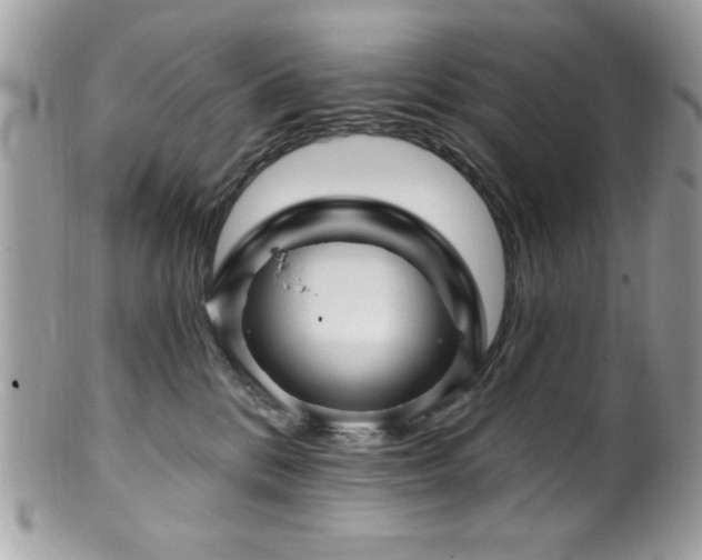 X0000102310328200807251446