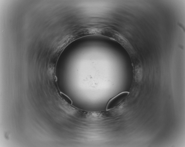 X0000102310329200807251446