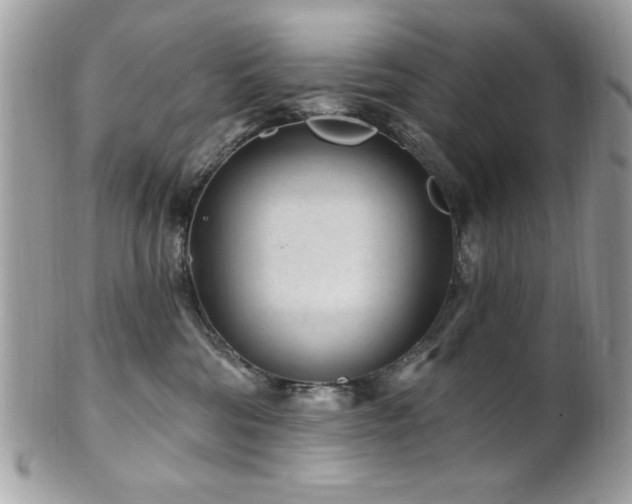 X0000102310330200807251445