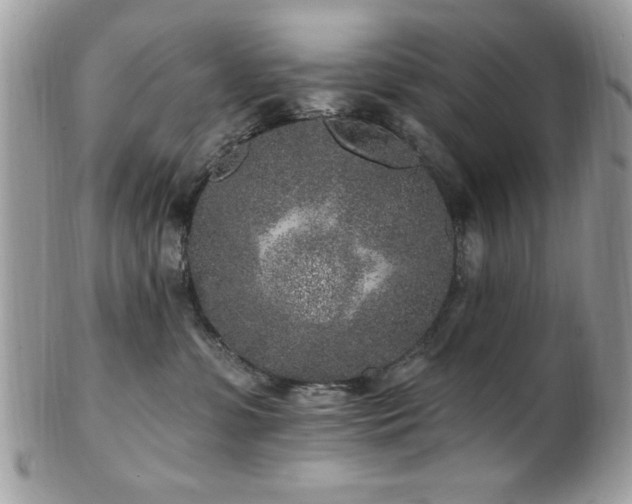 X0000102310331200807251445