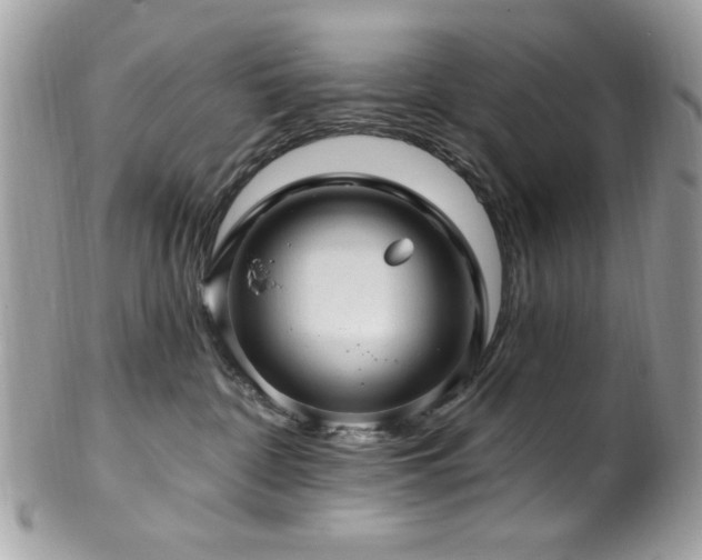 X0000102310332200807251445