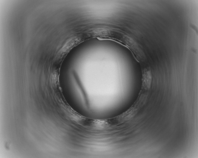 X0000102310333200807251445