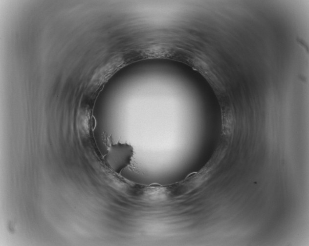 X0000102310334200807251445