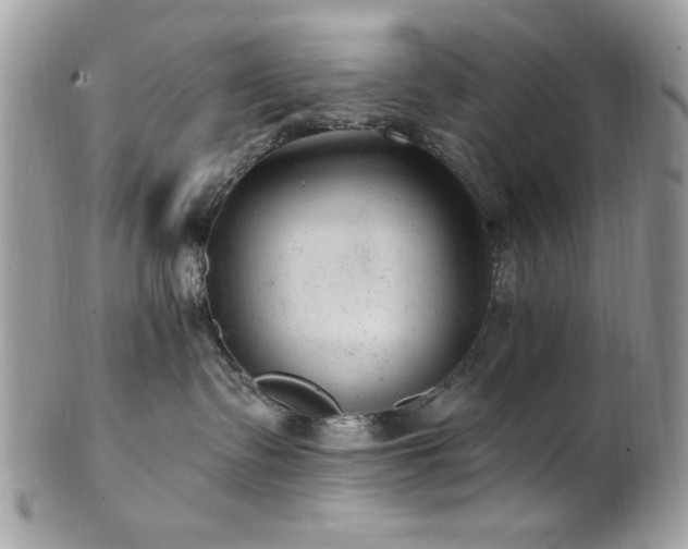 X0000102310335200807251445