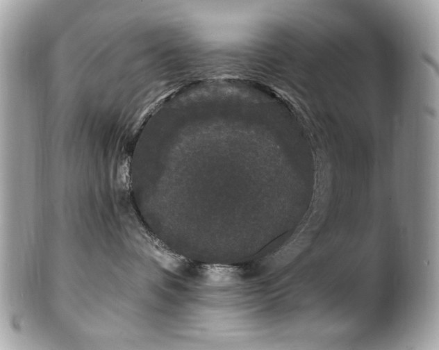 X0000102310336200807251445