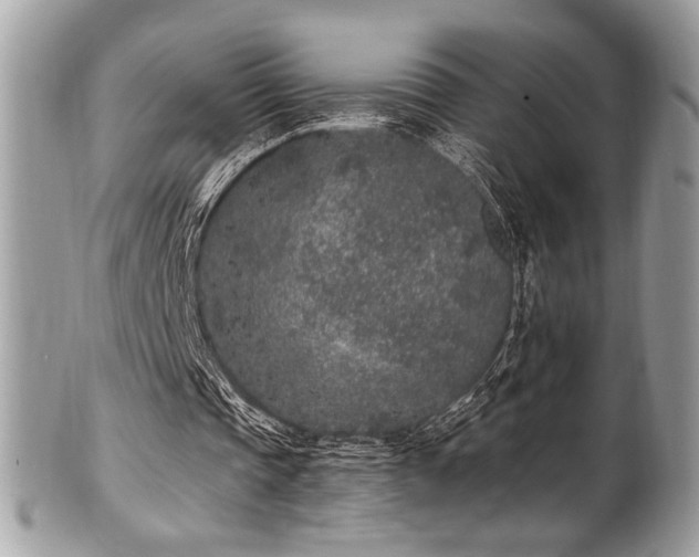 X0000102310337200807251445