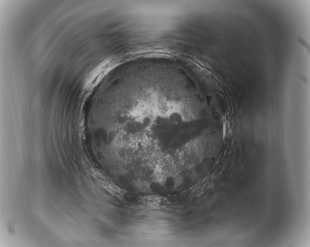 X0000102310339200807251445