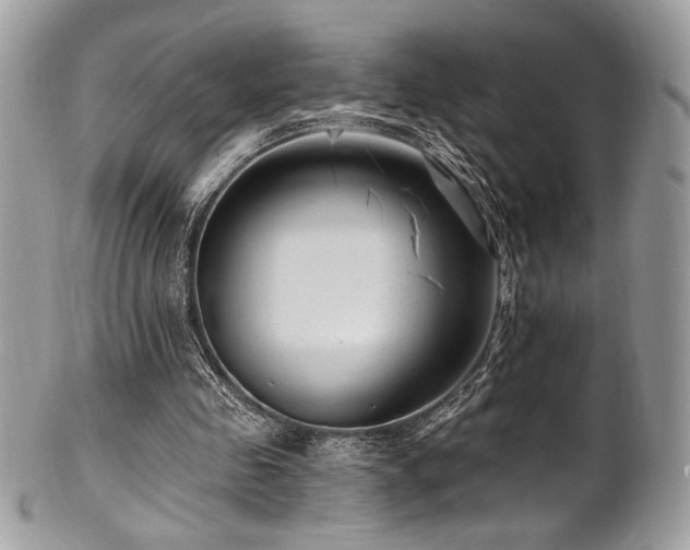 X0000102310341200807251445