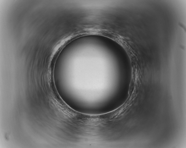 X0000102310342200807251445