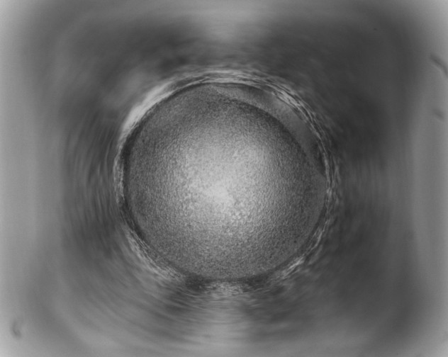 X0000102310343200807251445