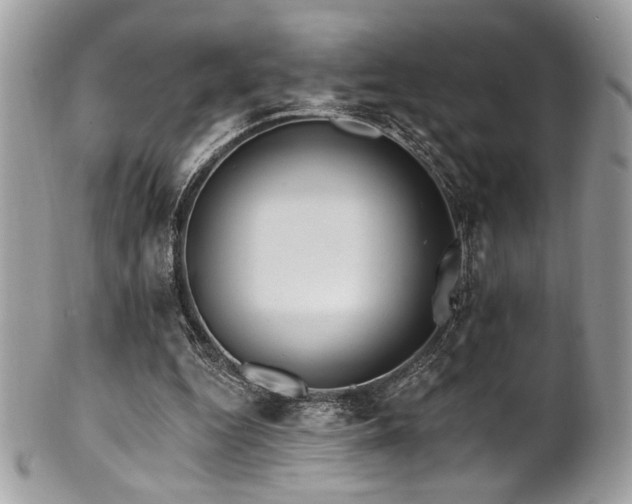 X0000102310344200807251445