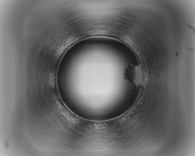 X0000102310345200807251445