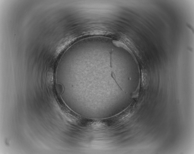 X0000102310348200807251445