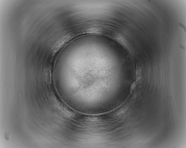 X0000102310349200807251445