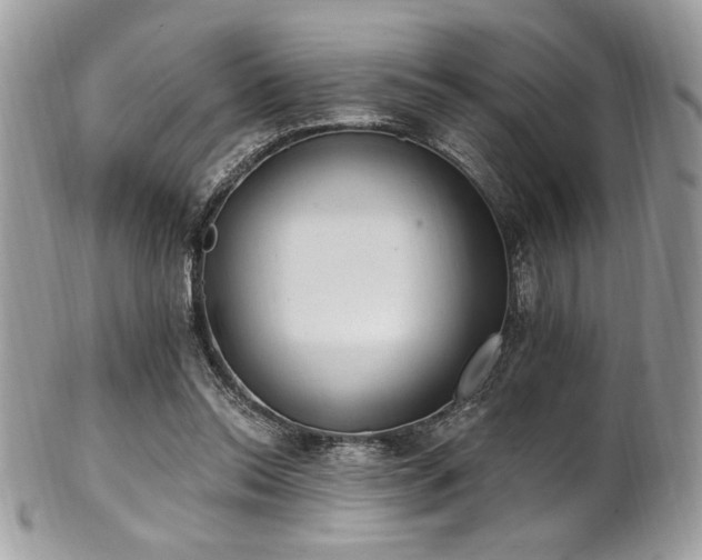 X0000102310350200807251445