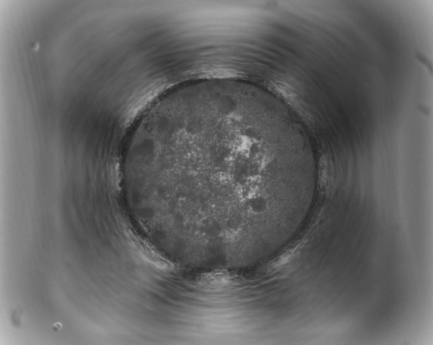 X0000102310351200807251445