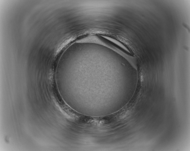 X0000102310352200807251445