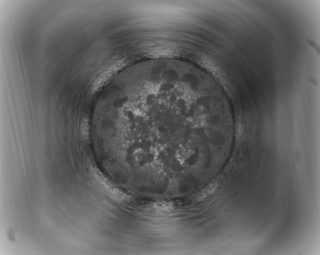 X0000102310353200807251445