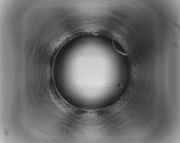 X0000102310354200807251445