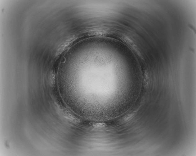 X0000102310355200807251445