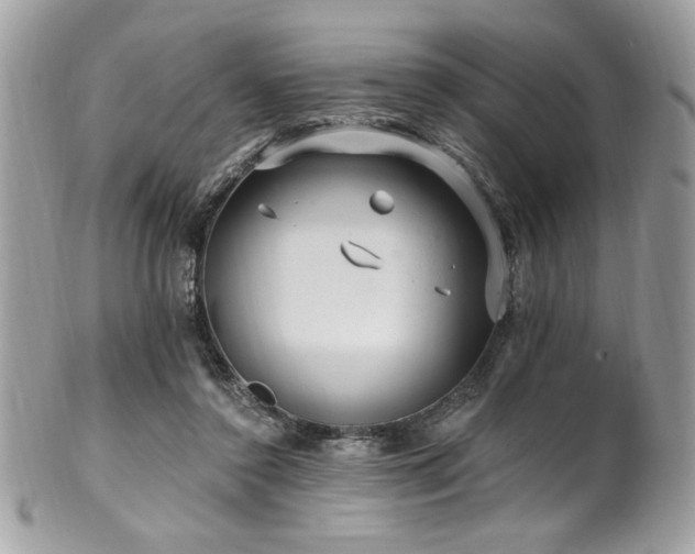 X0000102310356200807251445