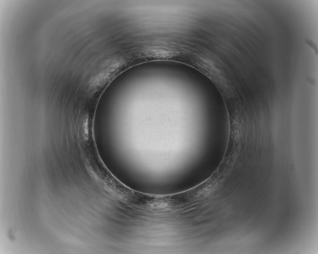 X0000102310358200807251445