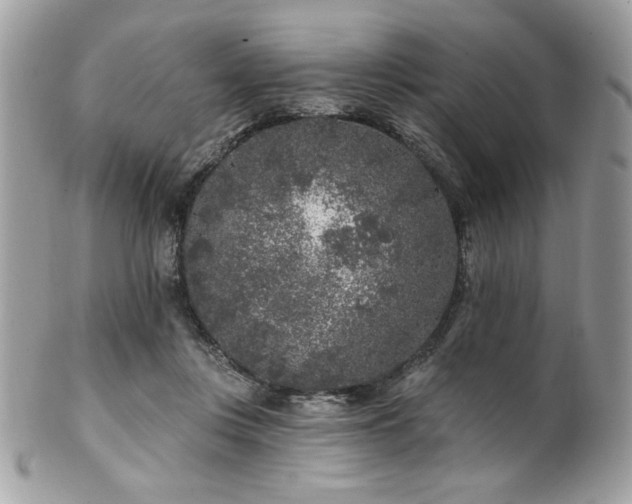 X0000102310359200807251445