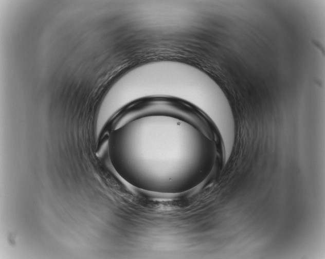 X0000102310360200807251445