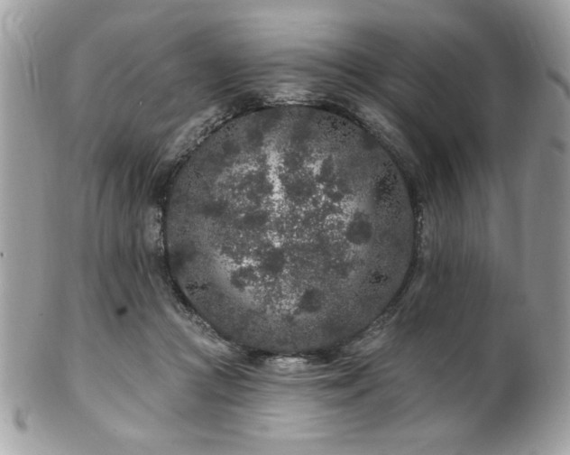 X0000102310361200807251445