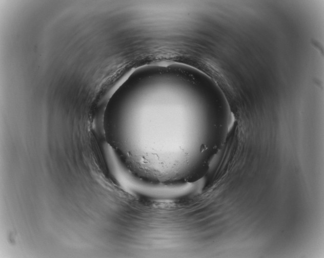 X0000102310362200807251445