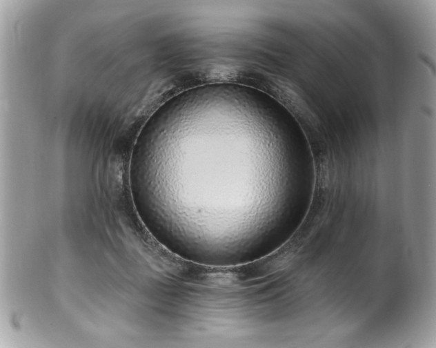 X0000102310363200807251445