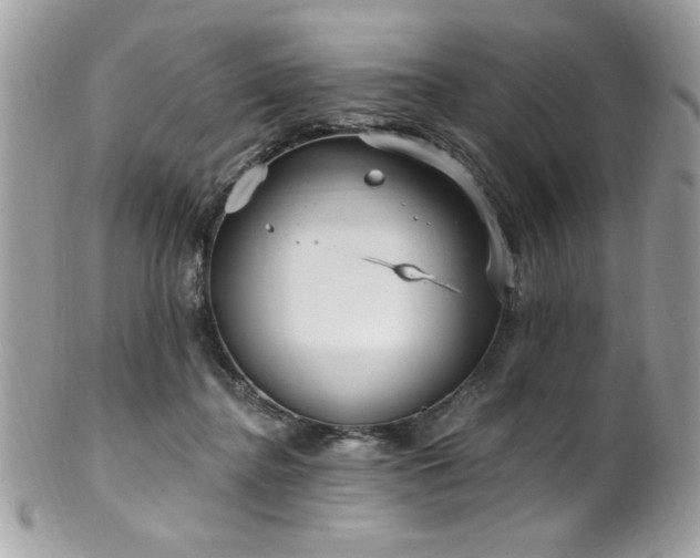 X0000102310364200807251445