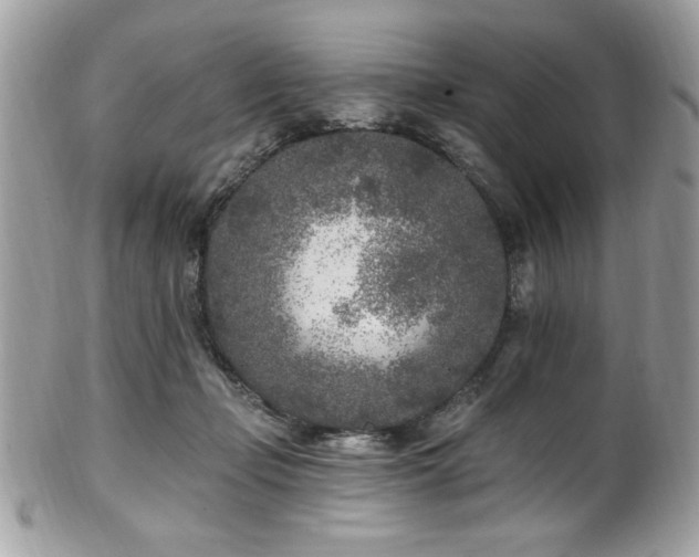 X0000102310365200807251445