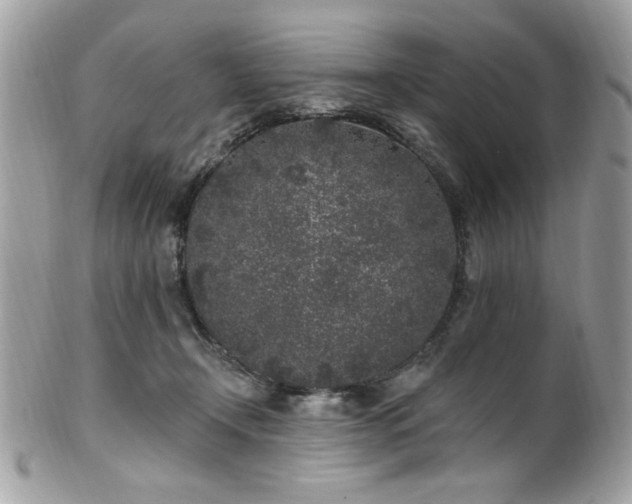 X0000102310366200807251445