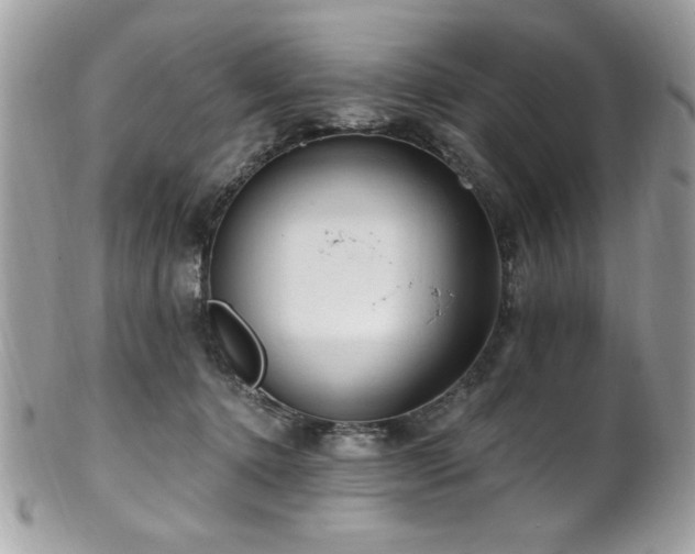 X0000102310368200807251445